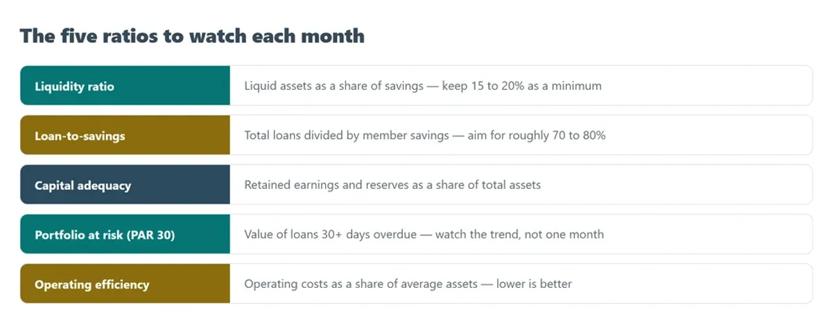 Five monthly ratios and their targets: liquidity, loan-to-savings, capital adequacy, portfolio at risk and operating efficiency