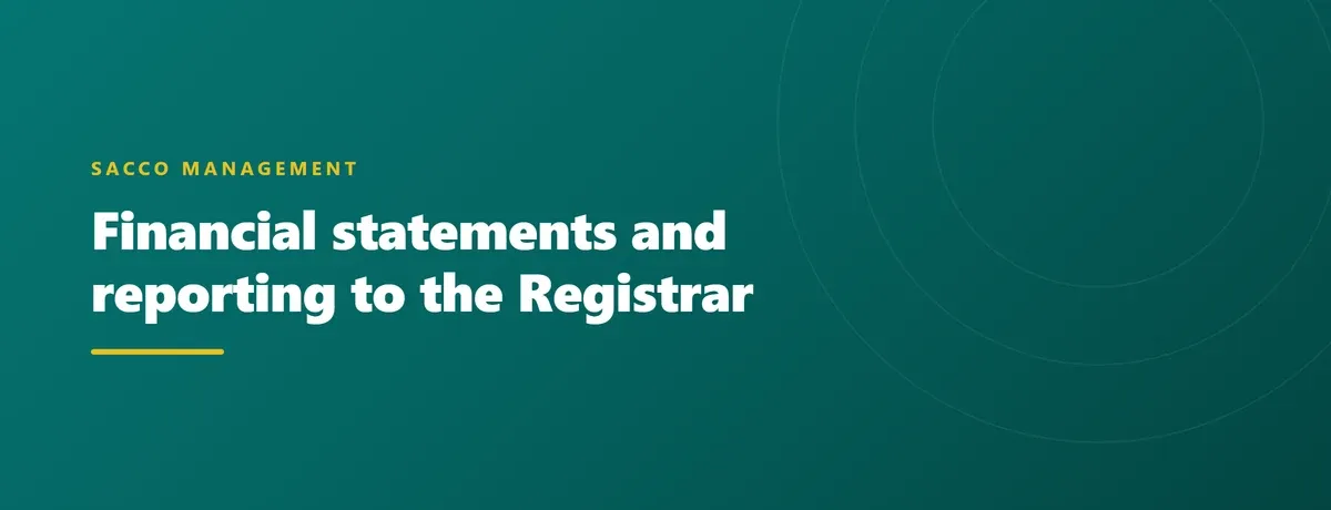 Financial statements and reporting to the Registrar