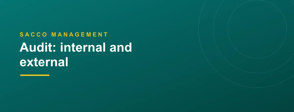 Audit: internal and external