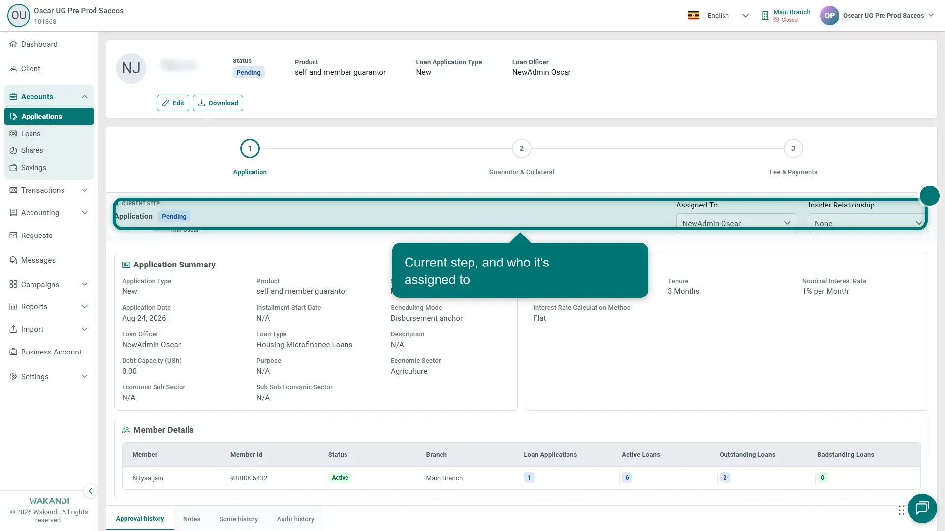 The Application step of an open loan application, showing Application Summary, Financial Details and Member Details