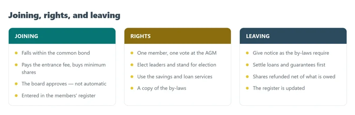 The three stages of membership: joining and registration, a member's rights, and what happens on leaving