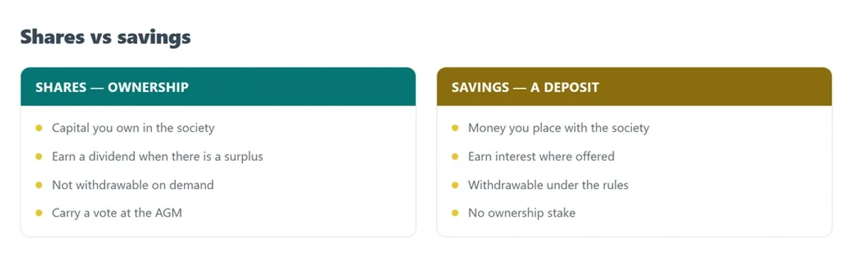 Shares are ownership in the society and earn a dividend, while savings are a deposit and earn interest